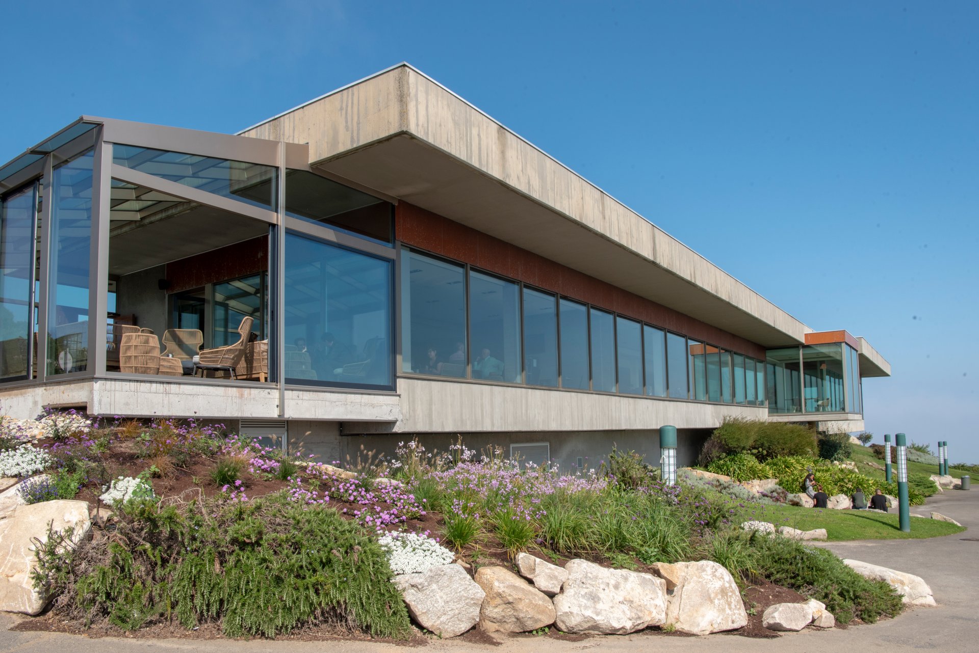 Árbore da Veira - acorunacb.com Árbore da Veira